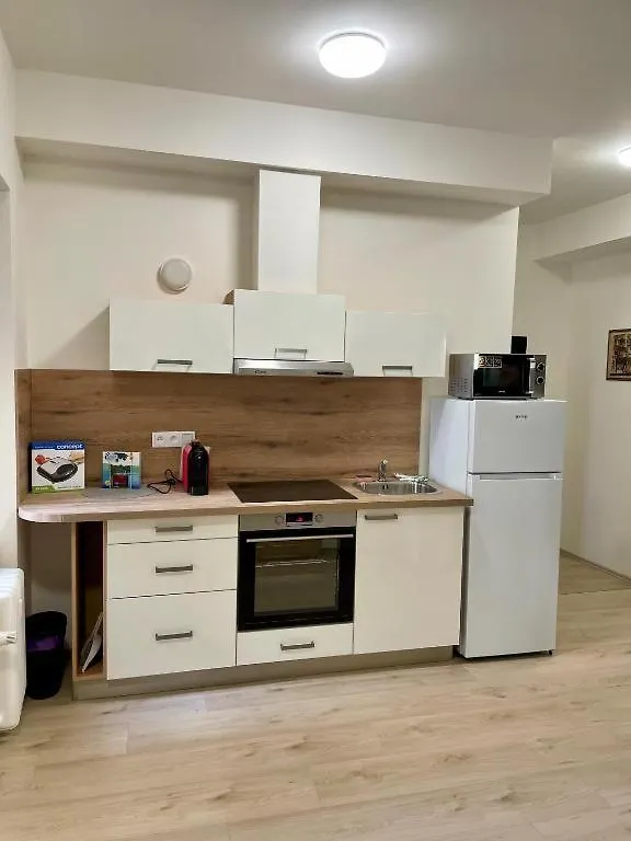 City Center Apartments - Moderna Brno Rimske Namesti I Lägenhetshotell